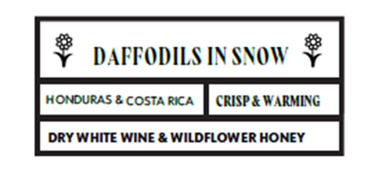 Daffodils in Snow Blend